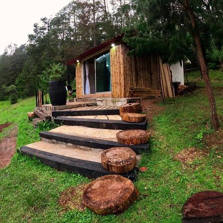 Cabana Romantica En El Bosque! Acaxochitlán Eksteriør billede