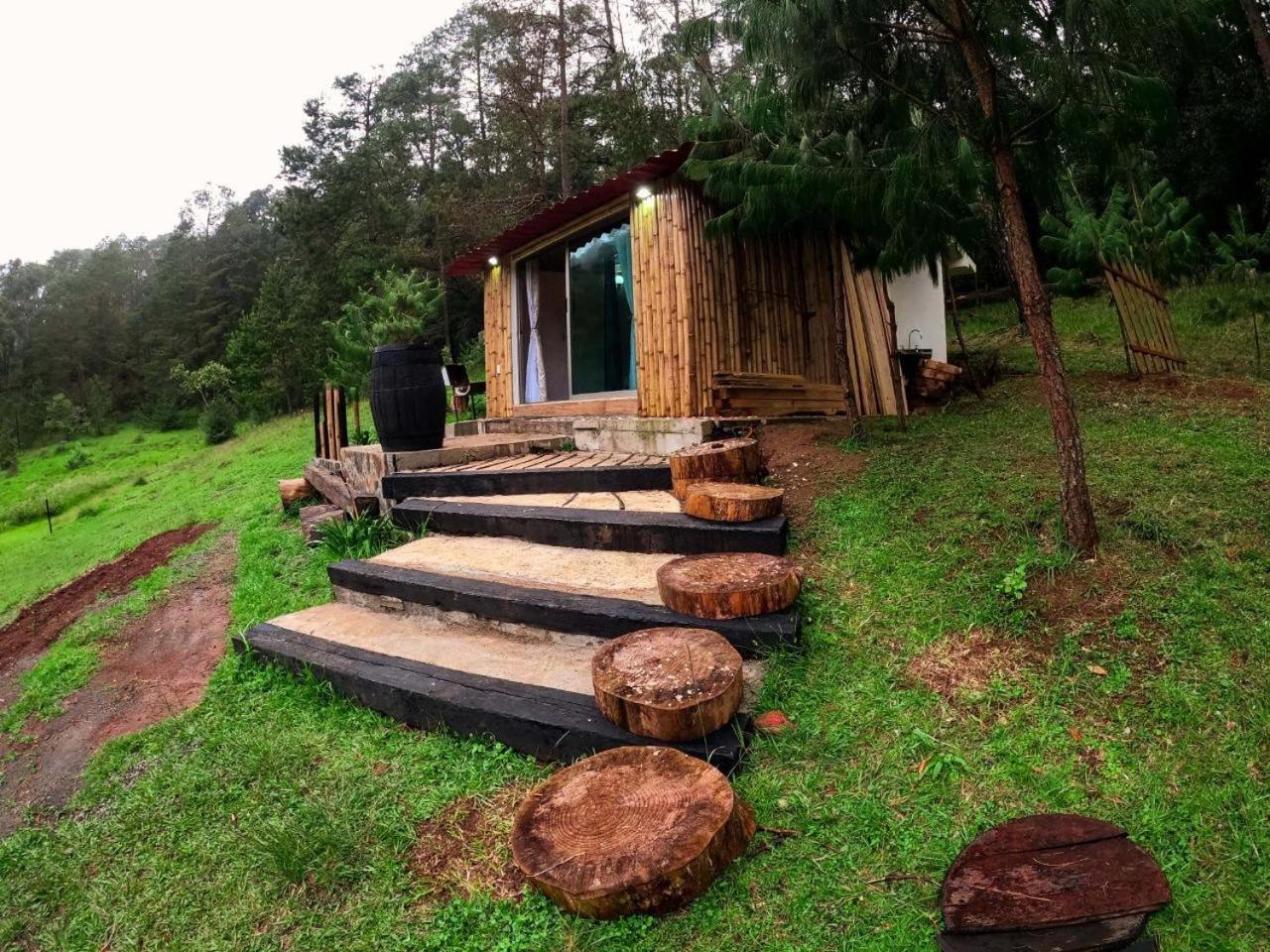 Cabana Romantica En El Bosque! Acaxochitlán Eksteriør billede